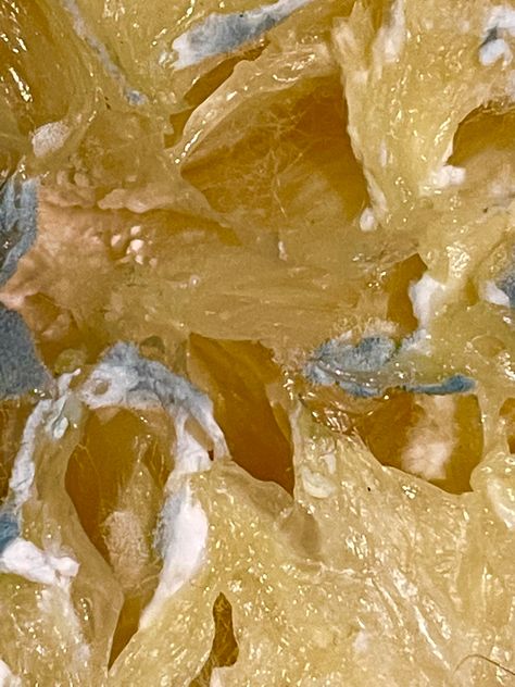 This is close up of a lemon that left to mould. I found this interesting as i no longer saw this as a lemon but now crystal caves. Moldy Lemon, Crystal Caves, Crystal Cave, Visual Arts, Drawing Inspiration, Then And Now, Visual Art, Close Up, Molding