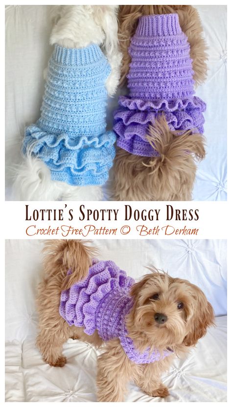 Lottie’s Spotty Doggy Dress Crochet Free Pattern - Crochet & Knitting Crochet Dog Outfits Free Pattern, Crochet Dog Projects, Crochet Clothes For Dogs Free Pattern, Beginner Crochet Clothing Patterns Free, Small Dog Sweater Knitting Patterns Free, Crochet Doggy Sweater Free Pattern, Easy Small Dog Sweaters Crochet Free, Free Dog Clothes Patterns, Crochet Dog Clothes Patterns