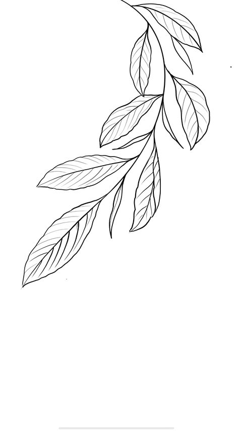 Line Art Drawings Plants, Simple Leaves Drawing, Leaf Branch Tattoo, Line Leaf Drawing, Wish Tattoo, Line Drawing Leaves, Leaf Tattoo Design, Leaves Stencil, Leaf Line Art