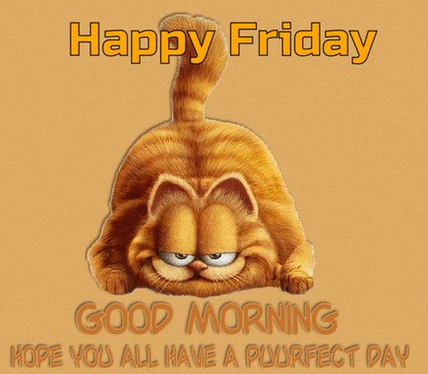 Good Morning Minions, Morning Quotes Humor, Friday Funny Images, Happy Friday Humour, Happy Friday Gif, Friday Gif, Good Morning Gif Images, Tgif Funny, Funny Good Morning