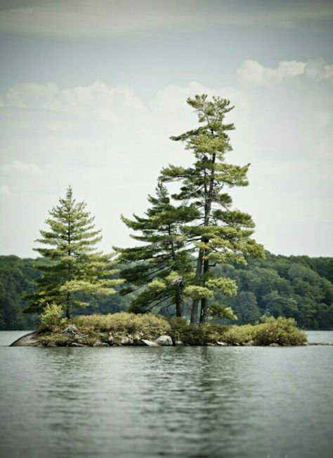 Nature Landscape Tattoo, Nature Landscape Painting, Island Painting, Bear Island, Summer Nature Photography, Tattoo Watercolor, Landscape Tattoo, Lake Art, Landscape Photography Nature