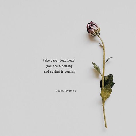 follow @lovettepoetry on Instagram for more. “take care, dear heart. you are blooming and spring is coming.” #poetry #poem #bloom #spring #quote #girlpower Moon Flower Quotes, Poetry Quotes Rupi Kaur, Nature Captions Instagram, Rupi Kaur Quotes About Self Love, Luna Quotes Moon, Poetry About Flowers And Love, Seasonal Quotes, Nature Captions, Spring Quote