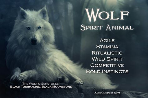 Wolf | spirit animal Animal Totem Spirit Guides, Spirit Animal Quiz, Lone Wolf Quotes, Spirit Animal Meaning, Animal Meanings, Spirit Animal Totem, Wolf Totem, Animal Spirit Guide, Wolf Images