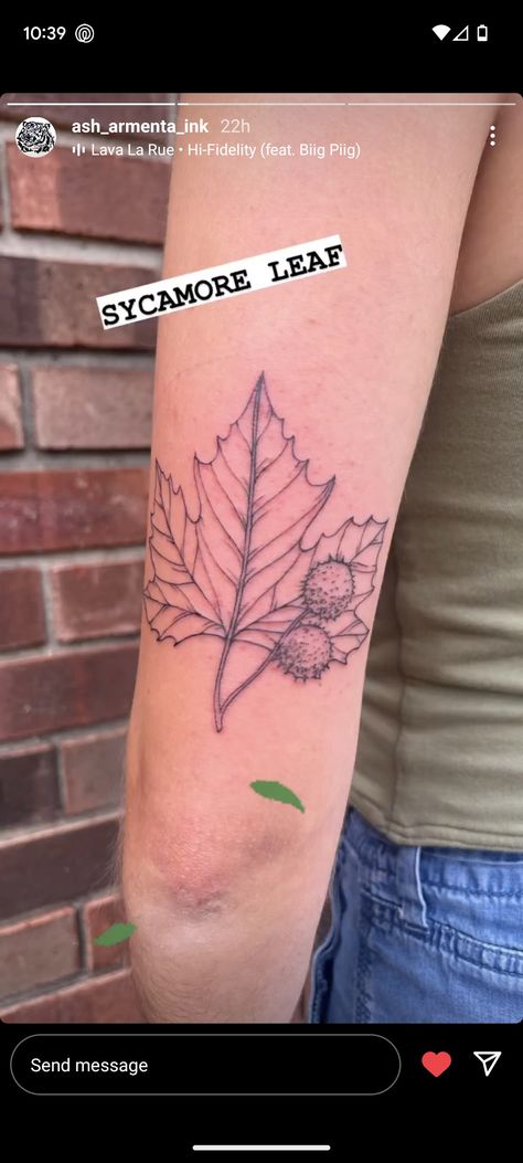 Sycamore Tree Leaf, Sycamore Leaf Tattoo, Sycamore Tattoo, Sycamore Tree Tattoo, Sycamore Leaf, Leaf Tattoo, Sycamore Tree, Tree Tattoo, Tree Leaves