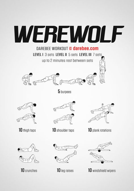 Werewolf Workout Basketball Agility Workouts, Ladder Workout, Agility Workouts, How To Get Faster, Park Workout, Plyometric Workout, Fitness Video, Staying Active, Martial Arts Workout