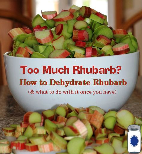 Dehydrated Rhubarb Recipes, Dehydrated Rhubarb Candy, Dehydrated Rhubarb, Dehydrated Candy, Dehydrating Food Storage, Excalibur Dehydrator, Food Dehydration, Dehydrating Food, Dehydrated Vegetables