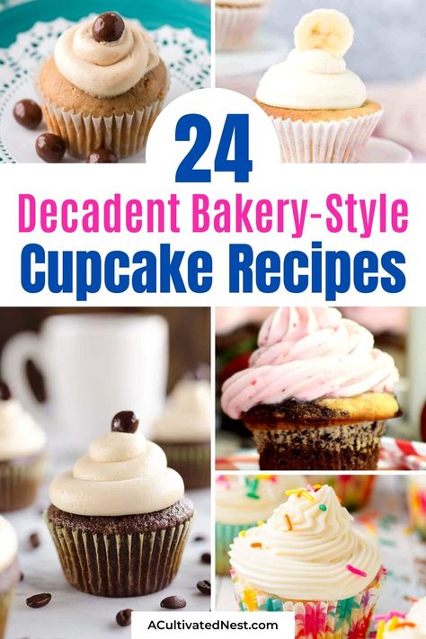 Best Cupcakes Ever Recipe, Make Cupcakes Taste Like Bakery, Cupcake Combinations Ideas, Yummy Cupcakes Recipes, Flavors Of Cupcakes, Easy Birthday Cupcakes For Adults, Classic Cupcake Flavors, Mini Cupcake Display Ideas, Best Filled Cupcakes