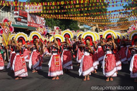 Kaamulan Festival 2019 Schedule of Events and Activities | Escape Manila Kaamulan Festival, Street Dancing, Schedule Of Events, Garden Show, Indigenous Culture, Tourist Spots, Street Dance, Show Horses, Manila