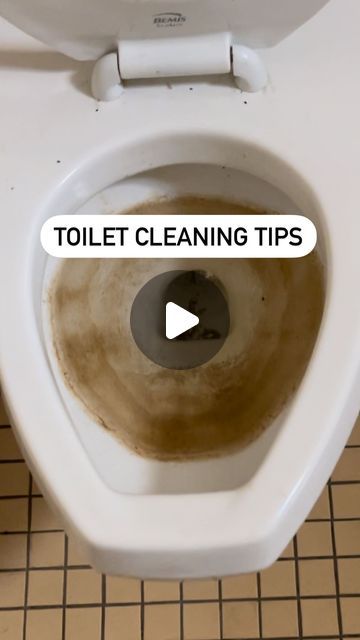 Kellsie Zapata | Cleaning Tutorials & Motivation on Instagram: "Let me share with you a few tips to keep in mind the next time you clean a toilet. While there are plenty of toilet bowl cleaners to choose from, if you struggle with tough toilet stains like lime scale or hard water stains and even mineral deposits, use a toilet bowl cleaner that targets explicitly this build-up. There are two I suggest. Bar Keepers Friend toilet bowl cleaner & Lysol Lime & Rust toilet bowl cleaner. 

Your toilet bowl brush should have a head shape to reach all areas of the bowl and bristles that are enough to scrub but not flick toilet water. Be sure to rinse the brush in fresh water after every use. If you still have a bit of a water line in your toilet, follow up with a heavy-duty scouring stick. (Amazon/W Cleaning Toilet Stains, Toilet Cleaning Hacks, Toilet Stains, Toilet Bowl Cleaners, Clean Toilet Bowl, Hard Water Stain Remover, Bar Keepers Friend, Toilet Bowl Brush, Organizing Hacks