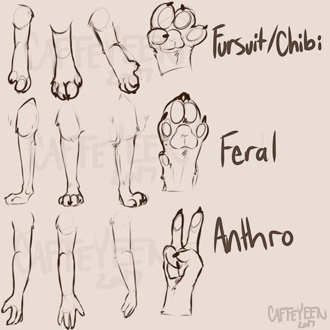 Four Legged Creature, Creature Poses, Paw Drawing, Cat Drawing Tutorial, Concept Art Drawing, Creature Concept Art, You're Beautiful, Still Love You, Art Tutorials Drawing