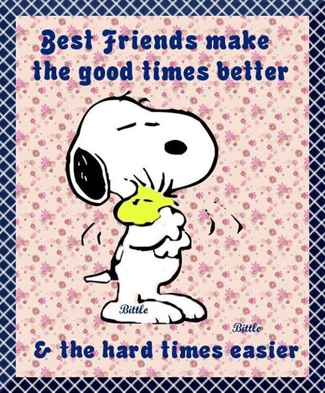 Snoopy Memes, Charlie Brown Quotes, Peanut Gang, Lucy Van Pelt, Snoopy Cartoon, Snoopy Funny, Snoopy Images, Peanuts Cartoon, Snoopy Quotes