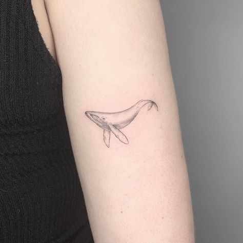 Delicate Whale Tattoo, Minke Whale Tattoo, Minimal Whale Tattoo, Fineline Whale Tattoo, Gray Whale Tattoo, Whale 52 Tattoo, Wale Tattoos Minimalist, Whale Tattoo Arm, Fine Line Whale Tattoo