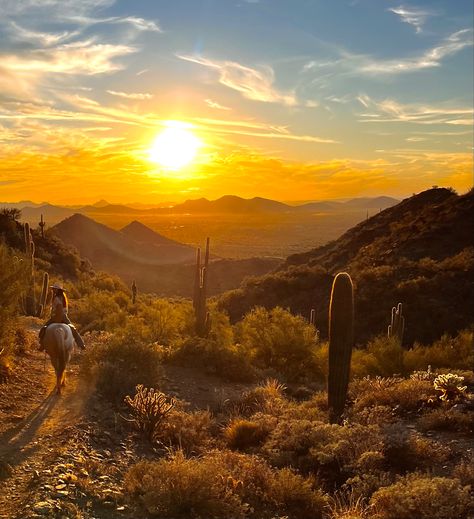 Beautiful sunset on horseback in Cave Creek, AZ Retreats For Women, Summer List, Cave Creek Az, Cave Creek, A Group Of Friends, On Horseback, Christmas Break, Pure Joy, Group Of Friends