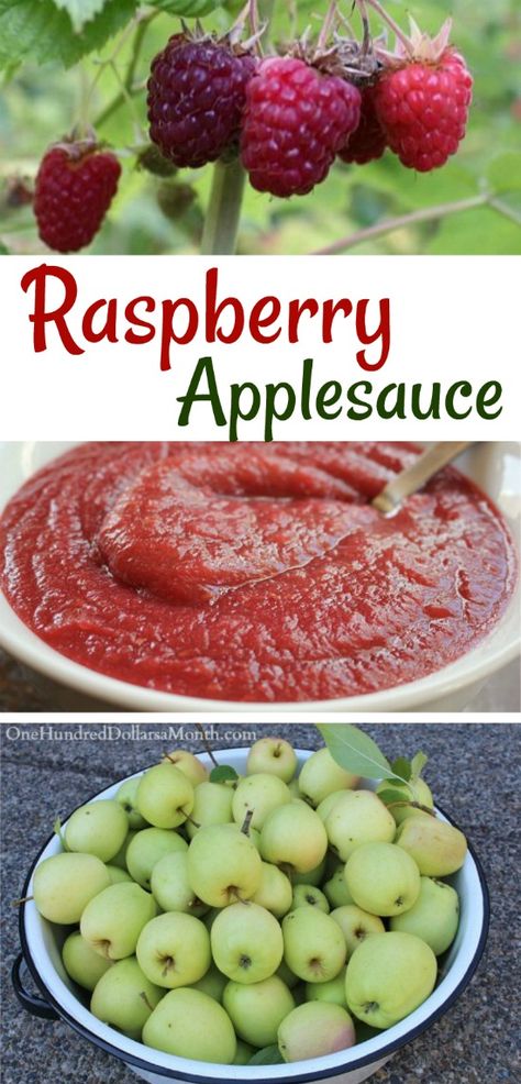 Homemade Raspberry Applesauce - One Hundred Dollars a Month Applesauce Variations, Raspberry Canning Recipes, Canned Raspberries, Raspberry Applesauce, Applesauce Recipes, Marine Parents, Raspberry Bushes, Sugar Free Eating, Raspberry Sauce Recipe