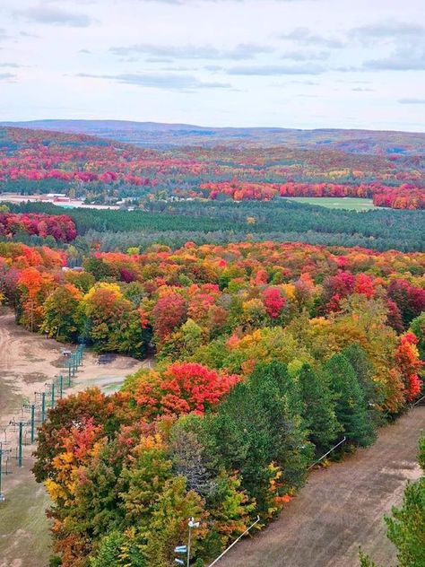 Original Michigan | At SkyBridge Michigan Boyne Mountain Resort | Facebook Skybridge Michigan, Michigan Aesthetic, Boyne Mountain Resort, Boyne Mountain, Michigan Road Trip, Mountain Resort, The Fall, Fall Colors, Michigan