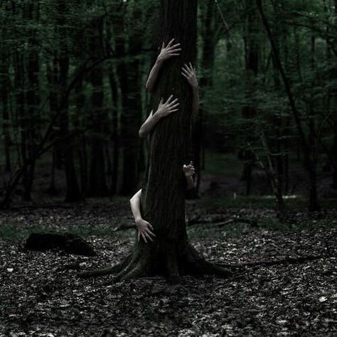 dark, forest et hands image sur We Heart It Shooting Pose, Creepy Photography, Horror Photography, Halloween Photography, Halloween Photoshoot, Forest Photography, Halloween Photos, Witch Aesthetic, Shooting Photo