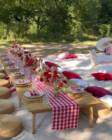 Red And White Picnic Table Decor, Red Picnic Table Decor, Strawberry Picnic Birthday Party, Birthday Dinner Decor, Red Gingham Picnic Party, Red And White Checkered Tablecloth Table Settings, Strawberry Picnic, 19th Bday, Ladybug Picnic