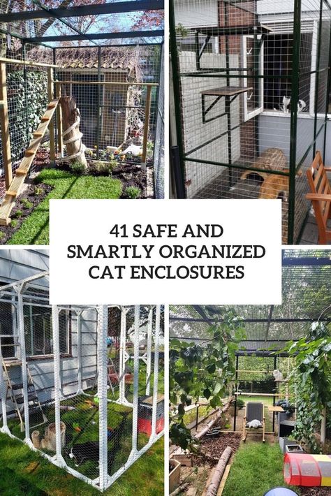 Cat Inclosers Outside, Cattery Ideas Cat Room, Cat Outside Enclosure, Feline Enrichment, Cattery Ideas, Cat Catio, Outside Cat Enclosure, Cat House Outdoor, Diy Cat Enclosure