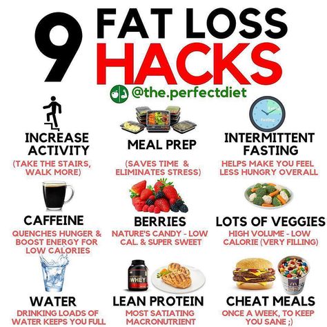 Healthy Bakes, Fat Burning Food, Foods Ideas, Fat Loss Foods, Build Muscle Mass, Losing Fat, Abs Challenge, Gym Tips, Health Trends