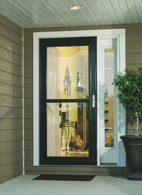 Door With Handle, Aluminum Storm Doors, Storm Doors, Retractable Screen, Door Upgrade, Glass Insulators, Storm Door, Types Of Doors, Screen Door