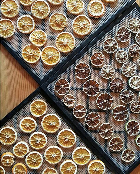 dehydrated citrus-vertical-crdt-perennial Dehydrate Citrus, Cocktails Made With Gin, Cocktail Garnishes, Lemons And Limes, Drink Garnishing, Dried Lemon, Dehydrated Fruit, Cocktail Garnish, Dried Orange Slices