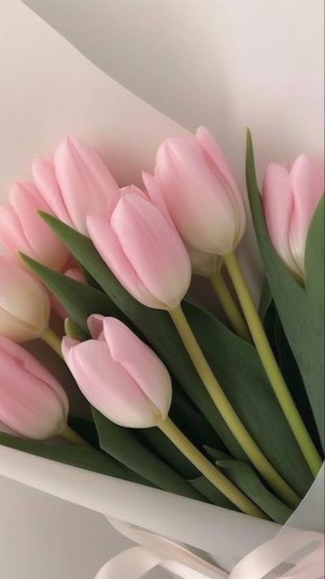 Tulip Flower Pictures, Pretty Flowers Pictures, Flower Tulip, Tulip Season, Zestaw Ikon, Pink Flowers Wallpaper, Boquette Flowers, Lovely Flowers Wallpaper, Strap Dresses