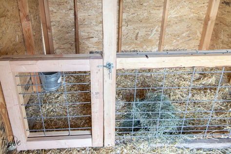 Inside of a goat shed, a separated pen for birthing and separating goats. Small Livestock Barn, Goat Shed Ideas, Goat Barn Layout, Goat Shed, Livestock Barn, Goat Shelter, Goat Pen, Small Goat, Pallet Barn