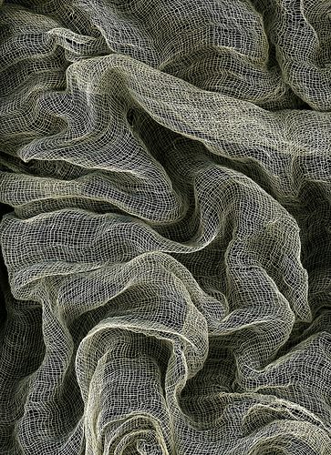 Topography Map, Texture Inspiration, Textile Texture, Materials And Textures, Fabric Texture, Surface Textures, Patterns In Nature, Color Textures, Texture Art