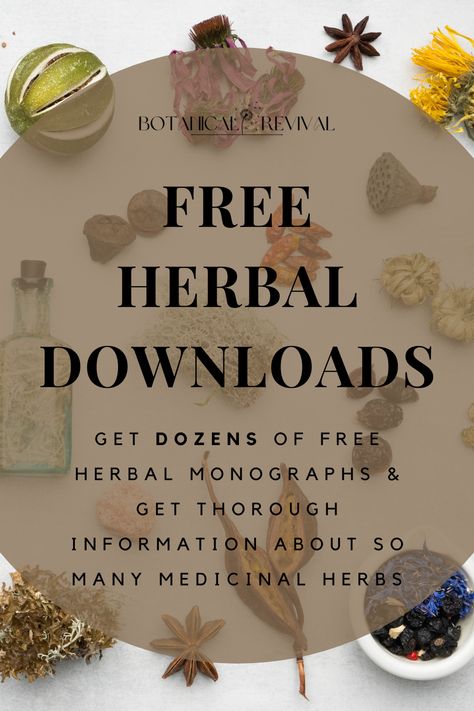 reads: free herbal downloads; get dozens of free herbal monographs & get thorough information about so many medicinal herbs List Of Medicinal Herbs, Herbs Healing, Herbalism For Beginners, Herbs Medicine, Medicinal Wild Plants, Book Printables, Herbs List, Home Apothecary, Herbal Remedies Recipes