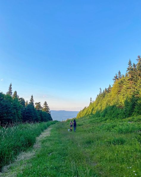 Outside Activities Aesthetic, Vermont In Spring, Summer In Vermont, Vermont Summer Aesthetic, Scottish Summer Aesthetic, Vermont Aesthetic Summer, Curly Hair Flowers, Northeast Summer, Vermont Countryside