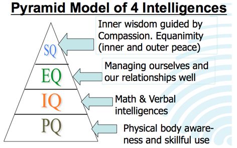 SQ21 Intelligences Pyramid Reading Comprehension Posters, Emotional Intelligence Leadership, Spiritual Intelligence, Pyramid Model, Circle Of Control, Improve Brain Power, Earth School, Logic And Critical Thinking, Mental Models