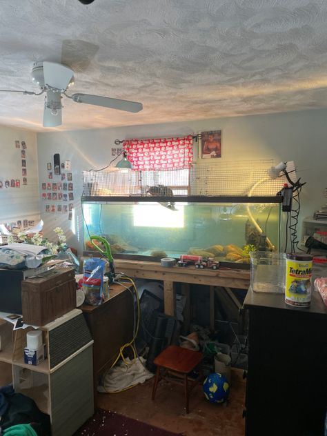 Diy basking platform made with egg crates and garden fencing dont mind the messy room currently being used for storage lol Turtle Basking Platform, Turtle Care, Turtle Habitat, Egg Crates, Turtle Tank, Messy Room, Garden Fencing, Fencing, Being Used