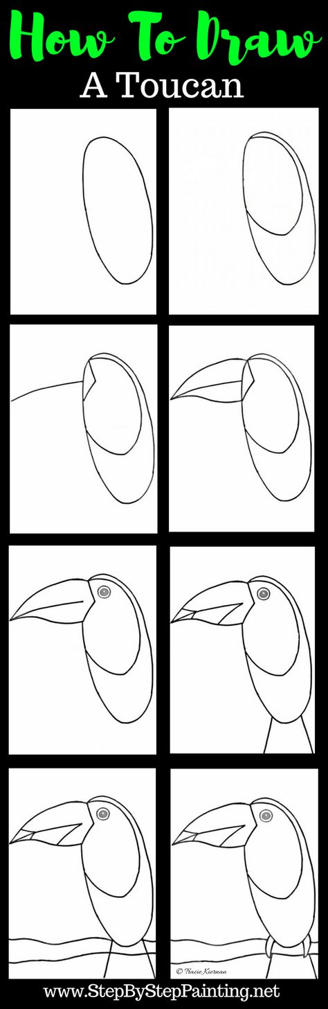 How To Draw A Toucan - Easy Step By Step Drawing Tutorial Draw Birds, Toucan Art, Beginner Sketches, Art Mediums, Drawing Tutorials For Beginners, Drawing Tutorial Easy, Water Colors, Step By Step Painting, Step Drawing