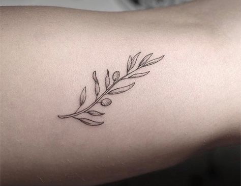 Olive Stamp Tattoo, Greek Olive Tattoo, Olive Branch Tattoo Forearm, Olive Branch Wrist Tattoo, Olive Tree Branch Tattoo, Tattoo Women Patchwork, Olive Branch Meaning, Tattoos Italy, Small Greek Tattoos