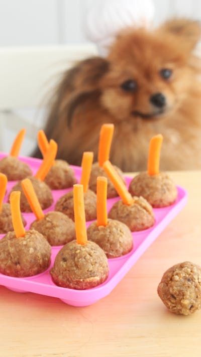 Cake Pops for Dogs ~ Recipe | Tastemade Dog Cake Pops, Dog Friendly Cake, Foods Dogs Can Eat, Homemade Pet Treats, Dog Cake Recipes, Dog Treats Recipes, Pet Treats Recipes, Dog Treats Homemade Easy, Easy Dog Treat Recipes