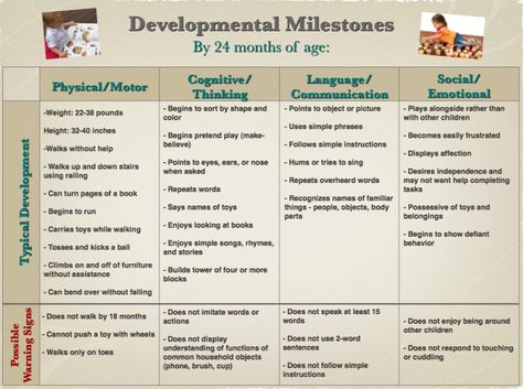 24 months Language Development Milestones, Developmental Milestones Chart, Auditory Verbal Therapy, Milestone Chart, Milestone Pictures, Social Thinking, Baby Stage, Developmental Milestones, Early Childhood Development