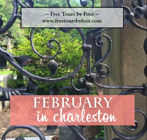 This post lists the best things to do in Charleston this February, including free activities, concerts, sporting events, and other entertainment. Charleston North Carolina, Charleston Sc Things To Do, Charleston Beaches, Chicago Things To Do, South Carolina Travel, Charleston Travel, Sullivans Island, Lower Back Pain Exercises, Days In February