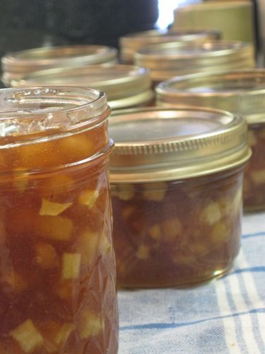 IMG_3626 Carmel Apple Jam Delight, Apple Fritters Baked, Apple Slices With Peanut Butter, Apple Preserves, Fall Apple Pie, Apple Pie Jam, Cut Sugar, Apple Walnut Salad, Jam Making