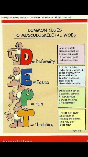 Orthopedic Nursing, Nursing Study Tips, Nursing Board, Med Surg Nursing, Physical Therapy Assistant, Nursing Assessment, Health Assessment, Nursing Mnemonics, Surgical Nursing