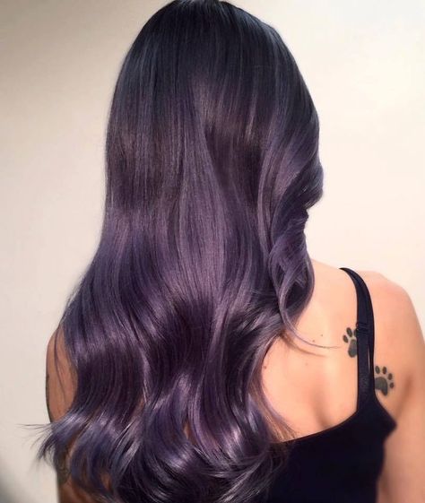 Dark Grey Hair Dye, Purple Grey Hair, Long Purple Hair, Dark Grey Hair, Purple Balayage, Purple Ombre Hair, Dark Purple Hair, Grey Hair Dye, Blue Ombre Hair