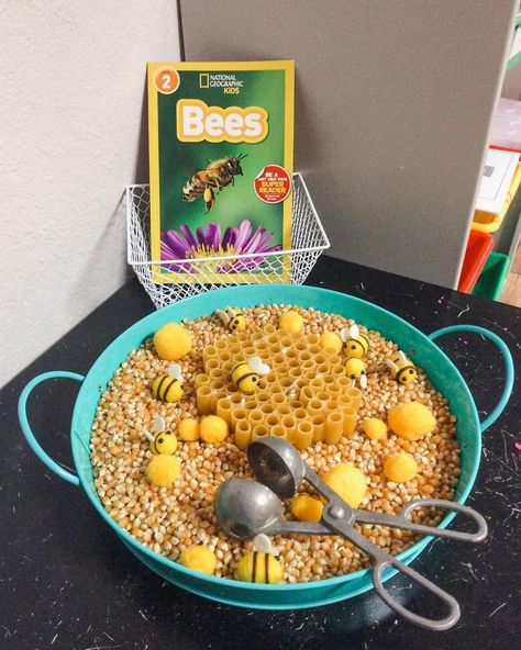 Bee Inquiry, Preschool Letter B, Natural Playdough, Homeschool Nature Study, Bee Themed Classroom, Preschool Letter, Eyfs Activities, Nursery Activities, Small Group Activities