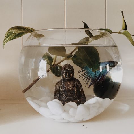 Beta Fish Bowl Ideas, Art Anime Tattoo, Nails Animation, Fish Bowl Centerpiece Wedding, Fish Bowl Ideas, Fish Taco Bowl, Round Fish Tank, Betta Fish Bowl, Anime Tattoo Designs