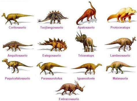 MAS FICHAS DE DINOSAURIOS | Proyectos De Dinosaurios Prehistoric Wildlife, Extinct Animals, Prehistoric Creatures, Vacation Bible School, Prehistoric Animals, Jurassic World, Dinosaurs, Reptiles, Animals