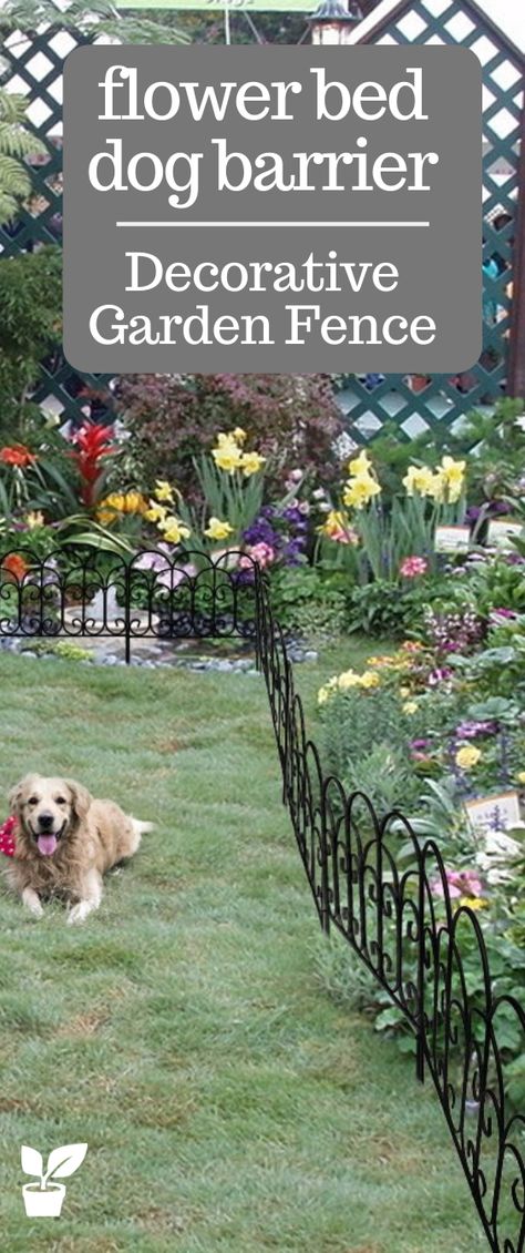 Garden Fence Decor, Metal Garden Fence, Steel Garden Edging, Decorative Garden Fence, Landscaping Along Fence, Metal Garden Fencing, Dog Barrier, Flower Bed Edging, Backyard Ideas For Small Yards