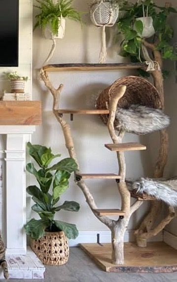 Wire Hanger Cat Bed, Diy Decor With Sticks, Classy Cat Furniture, Diy Cat Tree Driftwood, Cat Tree In Living Room, Real Tree Cat Tree, Catification Apartment, Aesthetic Cat Tower, Cat Wall Furniture Diy