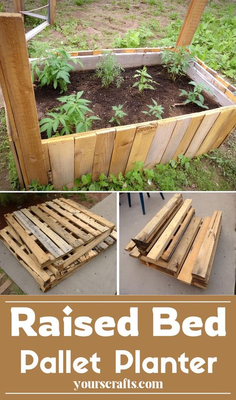 Raised Bed Pallet Planter Pallet Container Garden, Raised Garden Boxes Diy, Diy Pallet Projects Garden, Wood Pallet Projects For Beginners, Planter Boxes From Pallets, Pallet Flower Planter, Planter Box From Pallets, Things To Make With Pallets, Diy Raised Planter Boxes