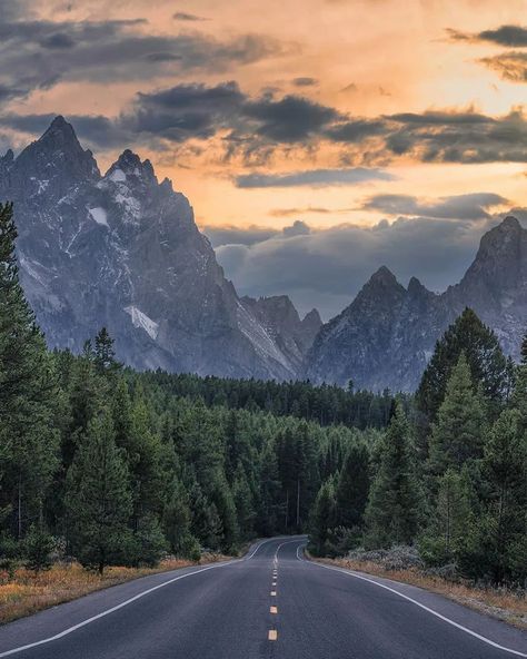 Wyoming Nature, National Parks Photography, Beautiful Roads, Amazing Travel Destinations, Travel And Leisure, Nature Travel, Travel Usa, Wyoming, Wonders Of The World