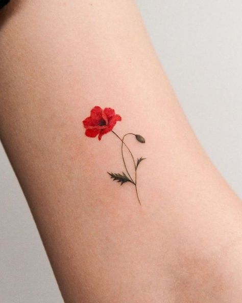 Simple Poppy Tattoo, Poppy Tattoo Meaning, Red Poppy Tattoo, Botanisches Tattoo, Flor Tattoo, Virgo Tattoo Designs, Poppy Flower Tattoo, Petit Tattoo, Virgo Tattoo