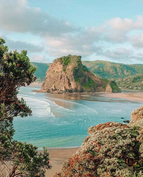 New Zealand Beach Aesthetic, Stewart Island New Zealand, Aloita Resort, New Zealand Beach, New Zealand Adventure, Oceania Travel, Countries To Visit, New Zealand Travel, Hand Luggage