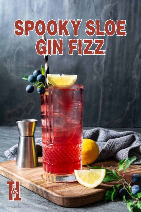 Add a haunting touch to your Halloween party with the Spooky Sloe Gin Fizz! This eeri e Halloween cocktail is the perfect choice for chilling Halloween alcoholic drinks and spooky party sips. #halloweendrinks #halloweencocktails #halloweendrinksalcohol Halloween Alcoholic Drinks, Sloe Gin Cocktails, Sloe Gin Fizz, Gin And Soda, Halloween Party Drinks, Halloween Drinks Alcohol, Halloween Cocktail, Sloe Gin, Best Alcohol